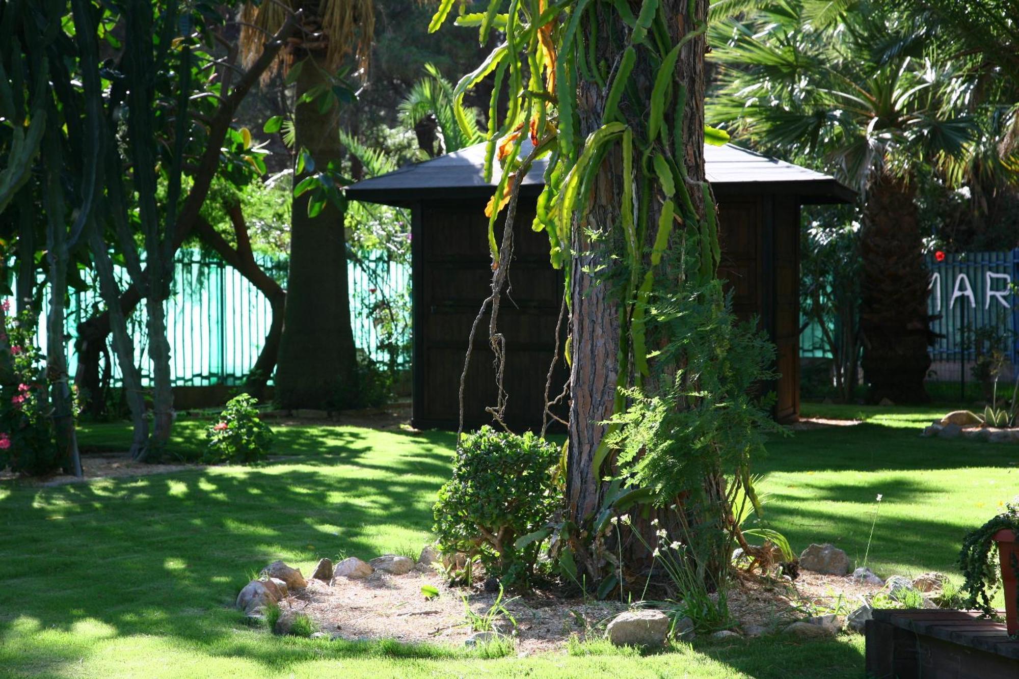 Hotel Abamar 4*